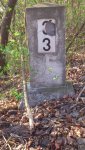 DSC_0894.jpg