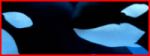1705765541246.png