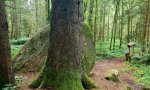 244.jpg