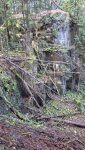 20241026_112958.jpg