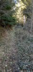 20241225_123601.jpg