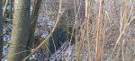 20250114_090008.jpg