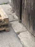 IMG_3813.jpeg