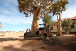 Namibia_10-03-29_0854.JPG