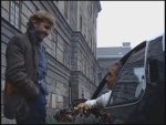 15_DieEntenDesPraesidenten_07.jpg