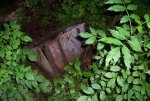 100_2742.jpg