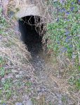 IMG_20250412_171619.jpg