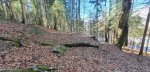 20260227_123408.jpg