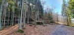 20260227_130926.jpg