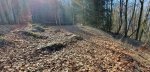 20260227_131629.jpg