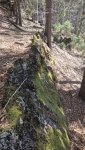 20260405_095318.jpg