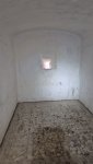 20260405_095547.jpg