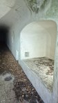 20260405_100352.jpg