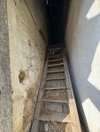 IMG_1175.jpeg