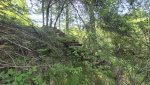 20260525_105954.jpg