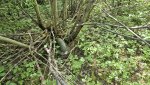 20260525_105138.jpg
