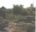 Pischelsdorf Mofa 1985.jpg