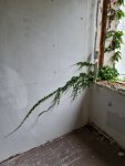 20210824_152838.jpg